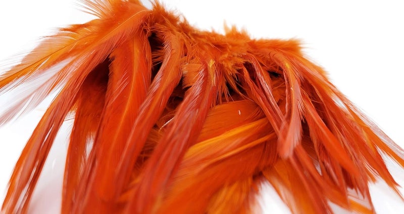 Creative Angler Saddle Hackle Fly Tying Materials - Natural Feathers for Wet Flies, Rooster Feathers, Hair Feathers for Crafts, Fly Tying Kit - Small Feathers Combo Pack of Steelhead Colored Feathers - Image 2